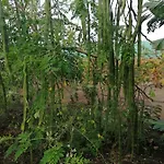 Vinas 度假居 *