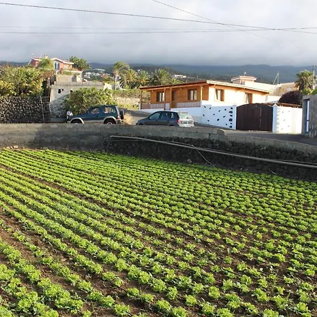 Viñas Icod De Los Vinos