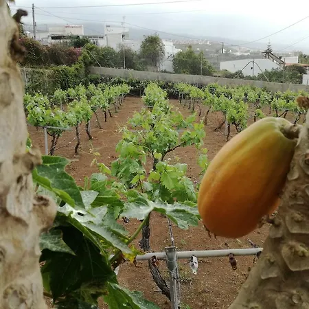 Viñas Сasa de vacaciones