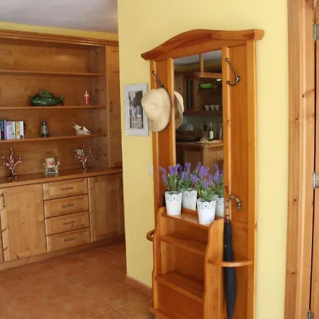 Vinas Ferienhaus Icod De Los Vinos